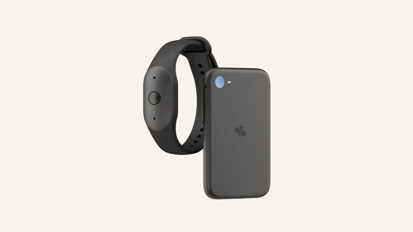 Amazon Bee Frontier e Bee Eclipse lado a lado