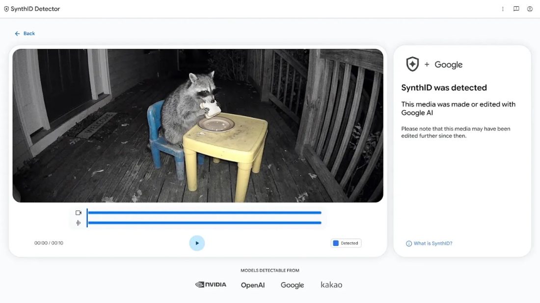 Interface do detector de IA do Google com vídeo de guaxinim analisado